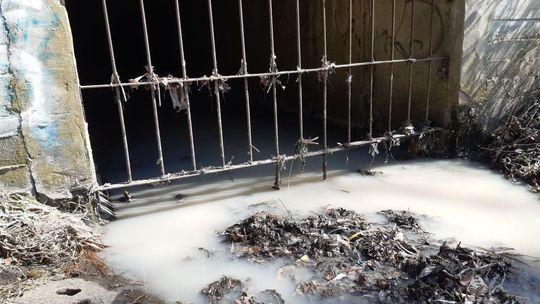 Łódzka rzeka znów zanieczyszczona! W wodzie pojawiła się biała substancja