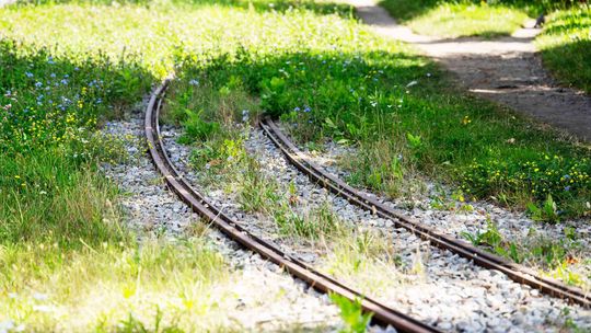 Na te ulice wrócą tramwaje MPK Łódź. Będą nowe szyny i przystanki