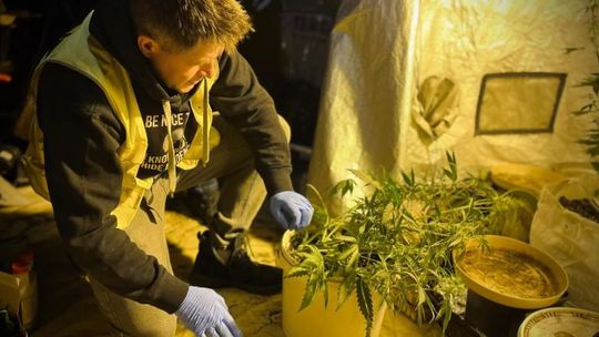 Niezwykłe znalezisko w Śródmieściu. Zdradził je... zapach [FOTO]