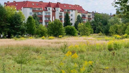 Nowy park na Górnej. Łódzcy radni oficjalnie nadali mu nazwę