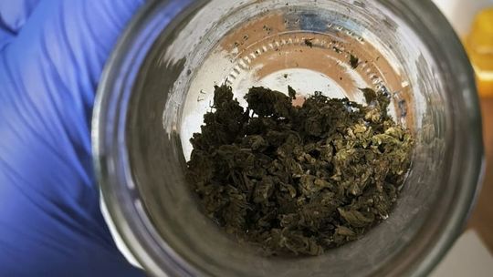 Spektakularna akcja policji w Łodzi. Narkotyki ukryte w słoikach i 80 tysięcy złotych w gotówce