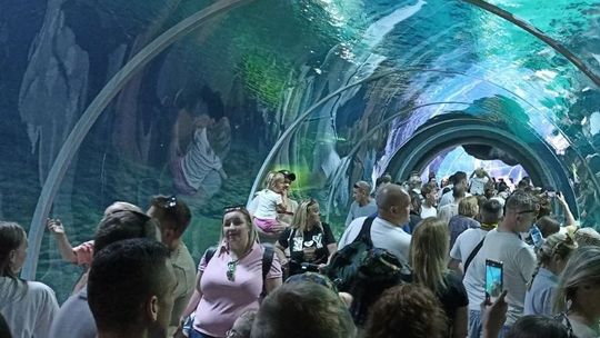 Tańsze bilety do łódzkiego Orientarium dla mieszkańców aglomeracji. Jak to możliwe?