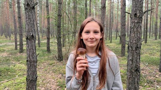 Wysyp grzybów w woj. łódzkim. Sprawdziliśmy sami popularne miejscówki