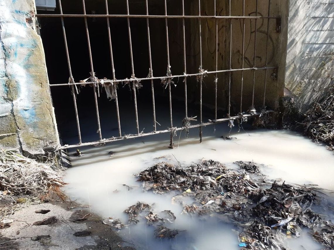 Łódzka rzeka znów zanieczyszczona! W wodzie pojawiła się biała substancja Łódzka rzeka znów zanieczyszczona! W wodzie pojawiła się biała substancja