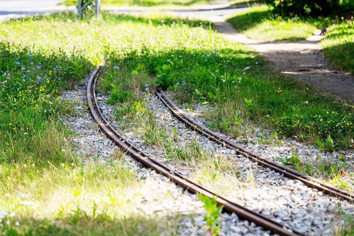 Na te ulice wrócą tramwaje MPK Łódź. Będą nowe szyny i przystanki Na te ulice wrócą tramwaje MPK Łódź. Będą nowe szyny i przystanki