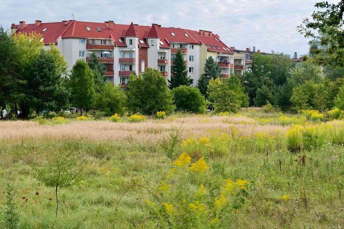 Nowy park na Górnej. Łódzcy radni oficjalnie nadali mu nazwę