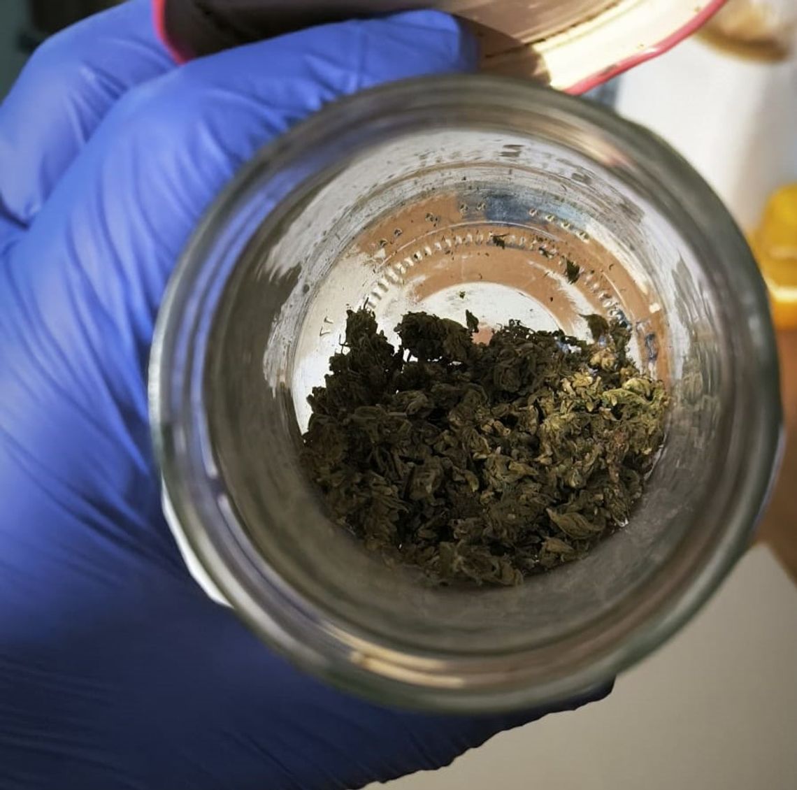 Spektakularna akcja policji w Łodzi. Narkotyki ukryte w słoikach i 80 tysięcy złotych w gotówce