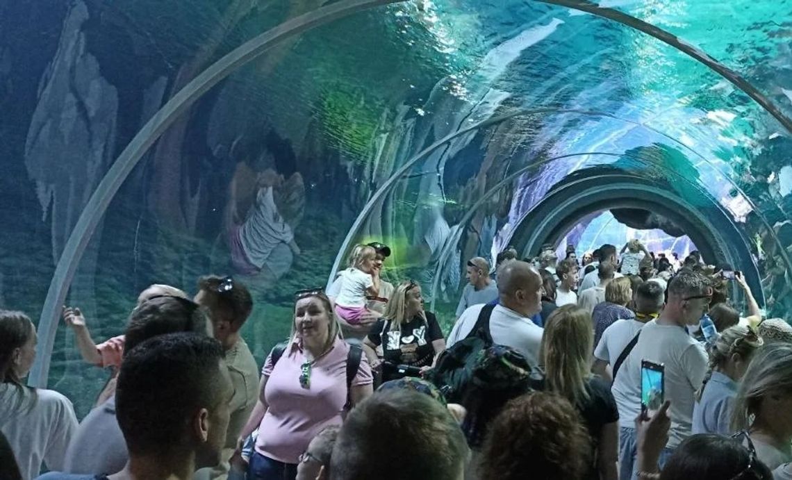 Tańsze bilety do łódzkiego Orientarium dla mieszkańców aglomeracji. Jak to możliwe?