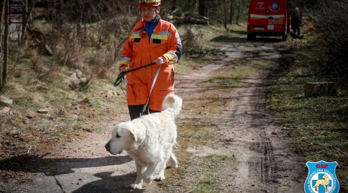 Te psy z łódzkiej OSP ratują ludzi. Od teraz na jeszcze większą skalę! Te psy z łódzkiej OSP ratują ludzi. Od teraz na jeszcze większą skalę!