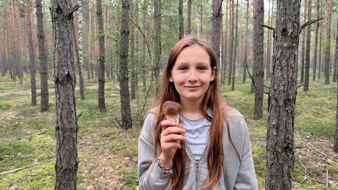 Wysyp grzybów w woj. łódzkim. Sprawdziliśmy sami popularne miejscówki Wysyp grzybów w woj. łódzkim. Sprawdziliśmy sami popularne miejscówki